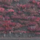 Sleep Token - Even In Arcadia Sleep Token - Even In Arcadia