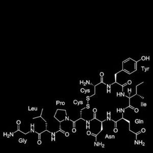 King 810 - Rustbelt Nu Metal 3