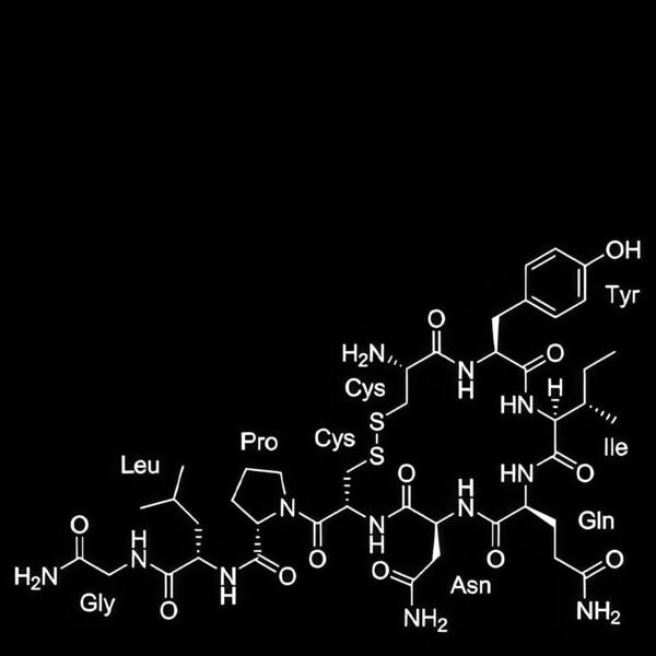 King 810 - Rustbelt Nu Metal 3