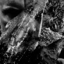 Taake - En Skog Av Nidstang Taake - En Skog Av Nidstang