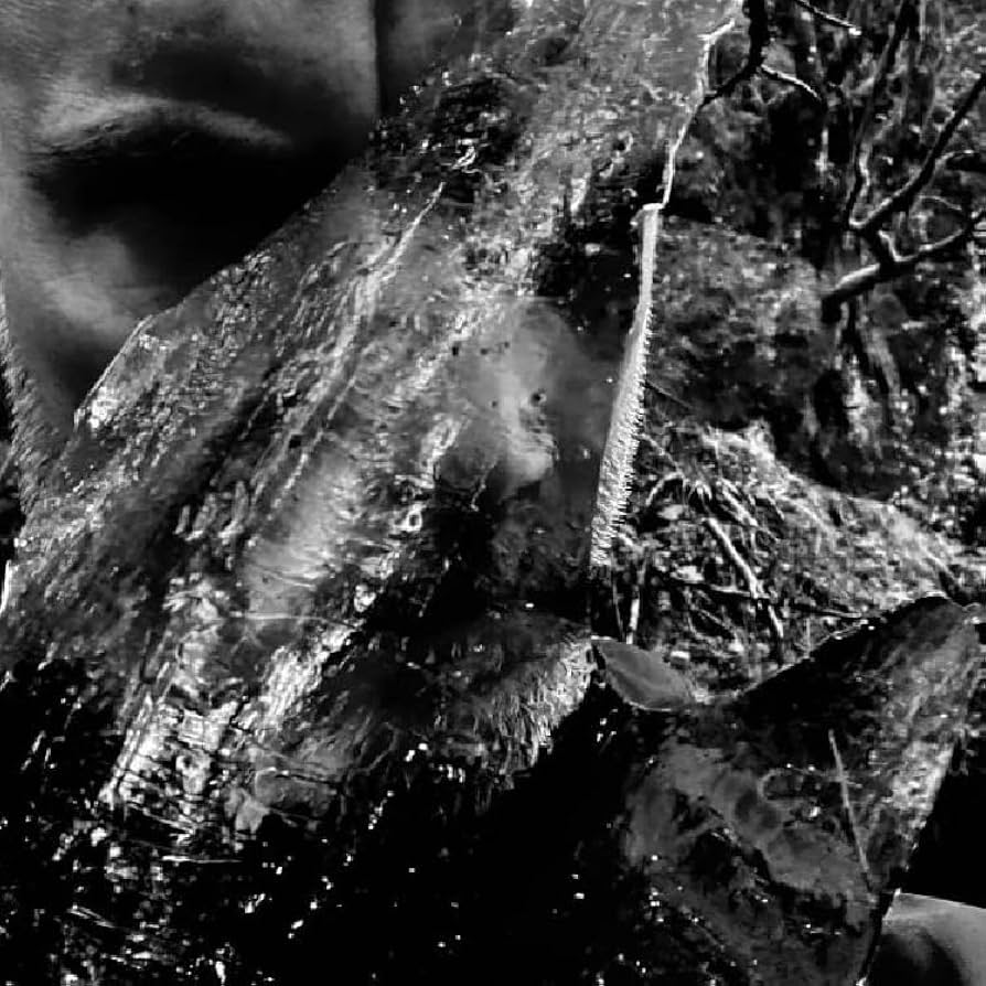 Taake - En Skog Av Nidstang